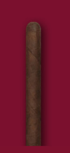 Tatuaje Petite Reserva Petite Corona