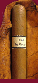 Leaf  By Oscar  Sumatra