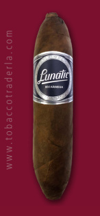 Aganorsa Leaf JFR Torch Visionaries